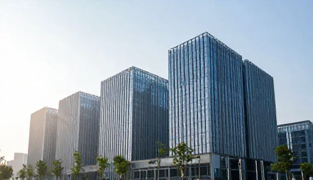 品牌APP使用建议：适用情况与限制解析